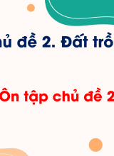 CN Trồng trọt - Ôn tập chủ đề 2. Đất trồng